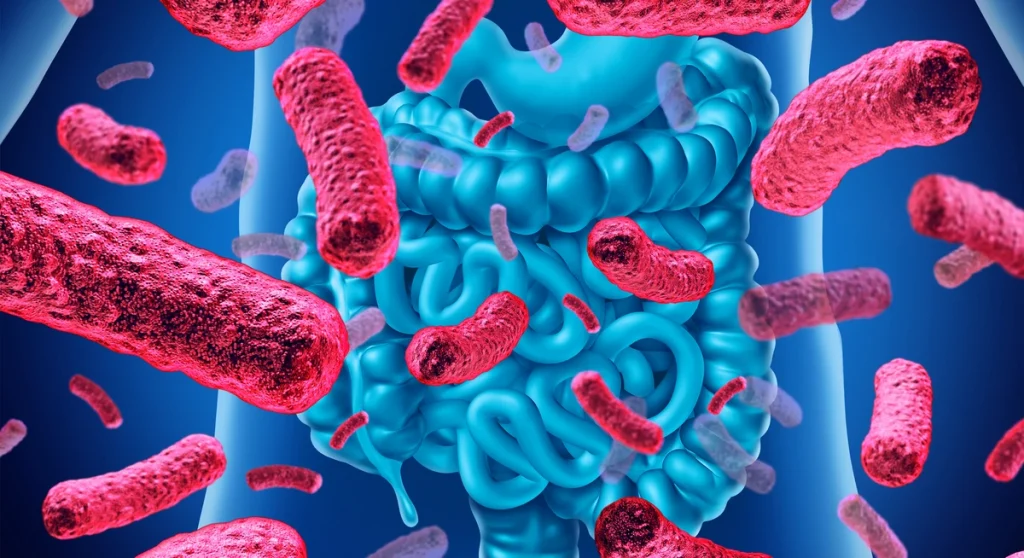 Uloga probiotika kod sindroma nervoznih creva 1 Uloga probiotika kod sindroma nervoznih creva