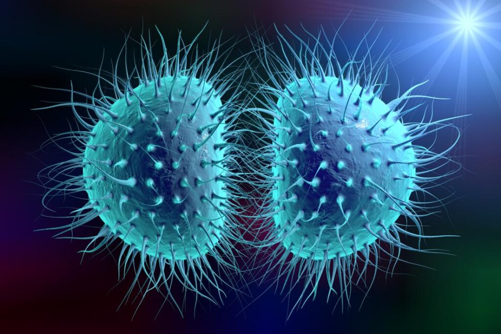 Bakterijski meningitis
