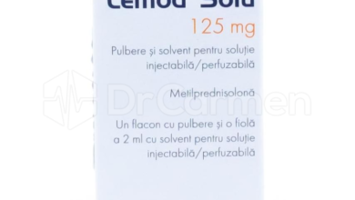 LEMOD 1 LEMOD