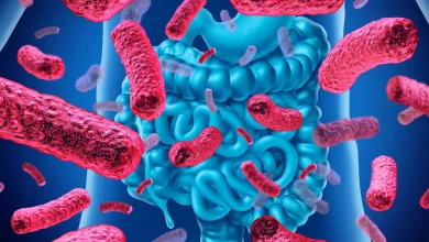 Malo zanimljivih činjenica o probioticima