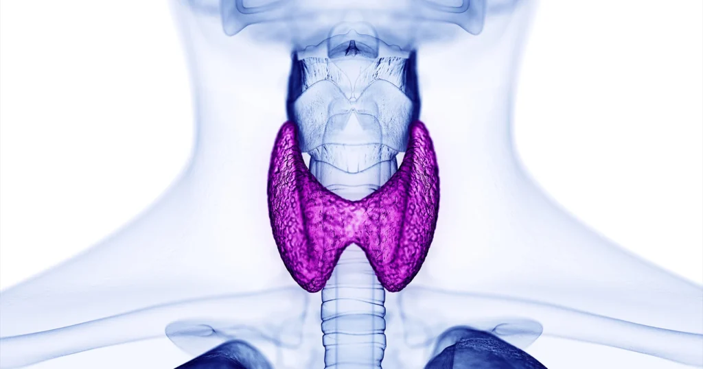 Hipertireoza-Hyperthyrosis 1 Hipertireoza-Hyperthyrosis