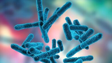 Bifidobacterium Bifidum: prednosti, neželjeni efekti i još mnogo toga 2 Bifidobacterium Bifidum: prednosti, neželjeni efekti i još mnogo toga