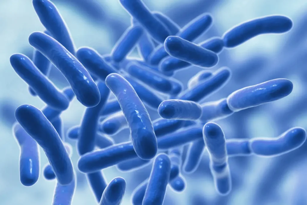 Probiotici: izbor pravog probiotika 1 Probiotici: izbor pravog probiotika
