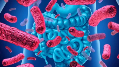 Kako odabrati kvalitetan probiotik? Saveti prof. Ivanović zašto je važna stabilnost probiotskih preparata 2 Kako odabrati kvalitetan probiotik? Saveti prof. Ivanović zašto je važna stabilnost probiotskih preparata