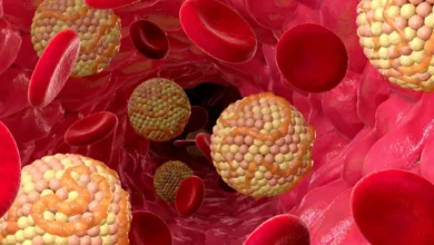Biolipid® — prirodna podrška regulaciji lipida za zdraviji kardiovaskularni sistem